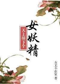 天上掉下个媳妇儿