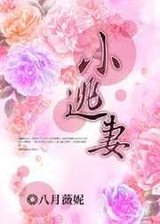 逮捕小逃妻