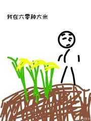 我在六零搞粮食致富