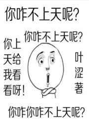 你咋不上天呢叶涩全文免费阅读