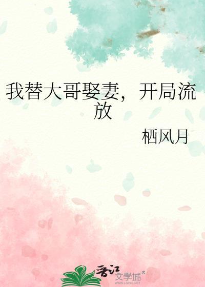 我替我哥娶