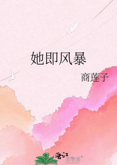 她是风暴中心免费阅读