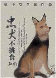 忠犬不挑食(快穿)晋江