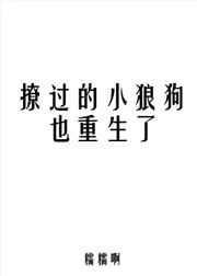 撩了小狼狗之后 txt