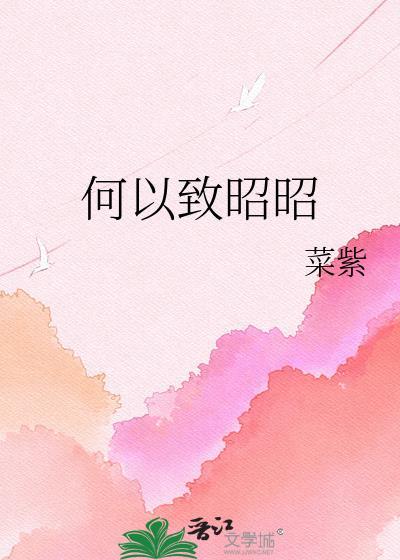 何以致昭昭全集