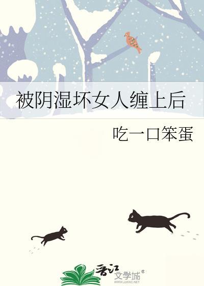 石家庄09年下大雪哪一天
