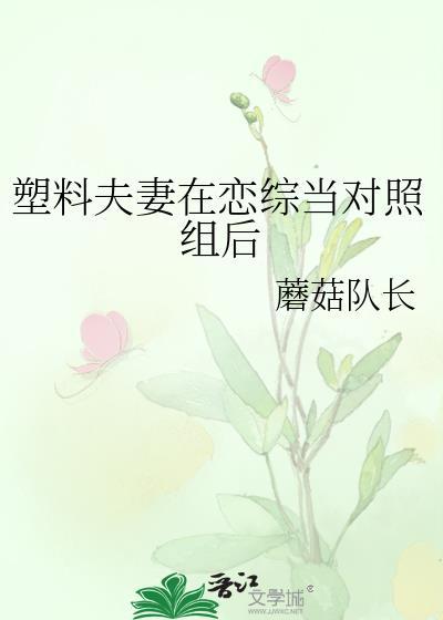 塑料夫妇观察实录