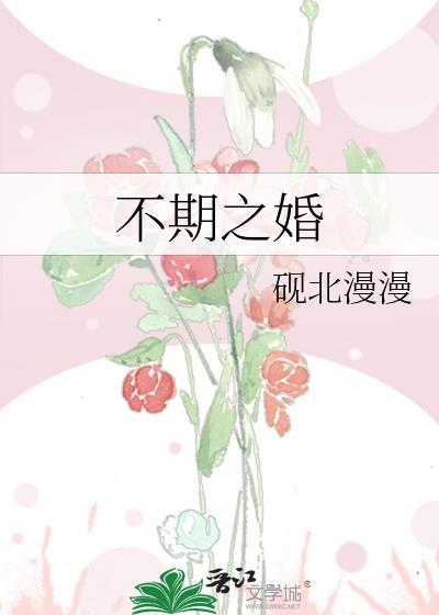不期之婚全本TXT
