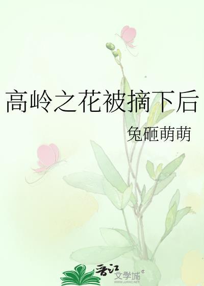 高岭之花的梗