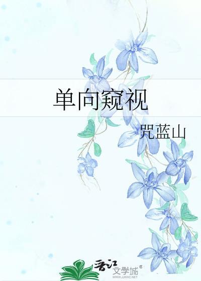 单向防窥膜