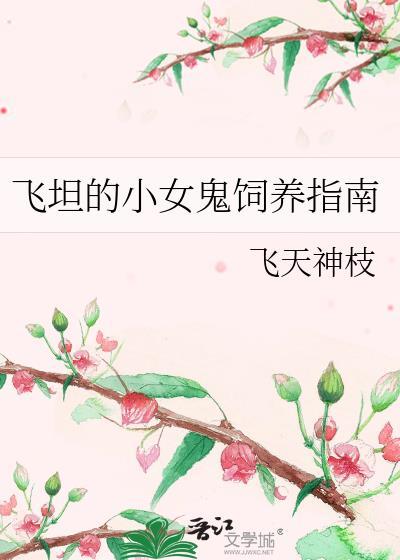 飞坦女仆