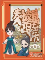 夫人被迫觅王侯书评