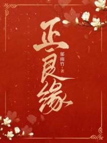 正良缘番外txt百度