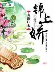 锦上娇养明月公主