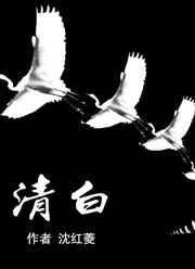 清白之年by费拉曼图 全文免费阅读