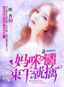 萌宝突袭免费阅读