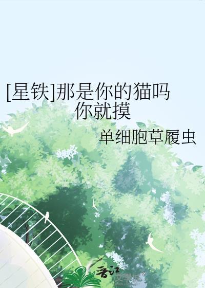 [星铁
