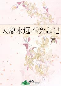 电影 大象永不忘记