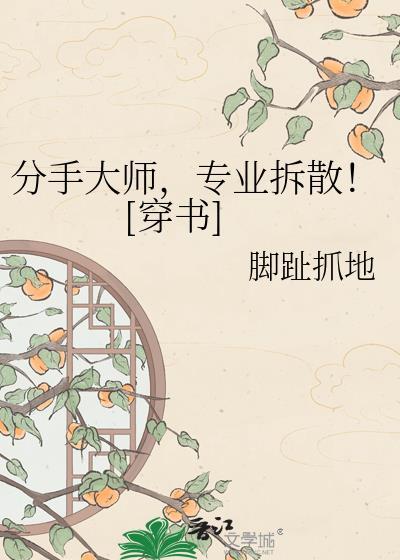 分手大师