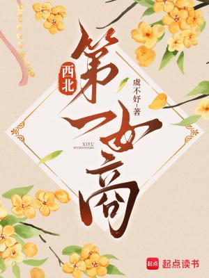 西北第一商城