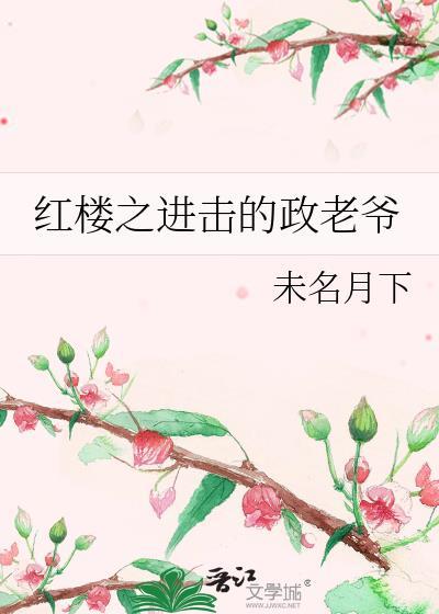 红楼之进击的政老爷txt百度