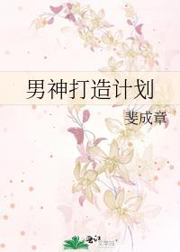 打造男神系统