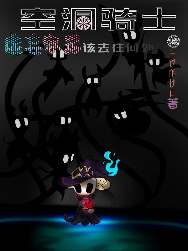 空洞骑士虚空实体