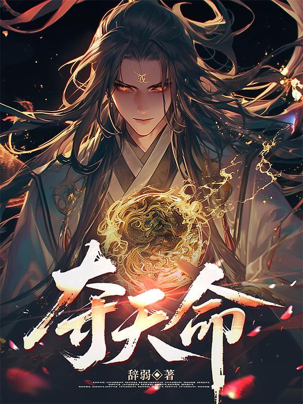 夺我天命剧情介绍