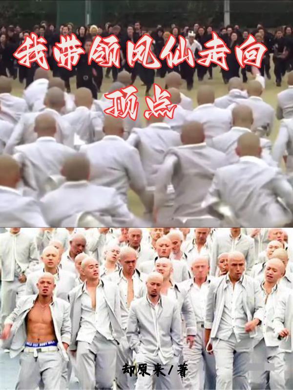 我带领凤仙走向顶点的英文