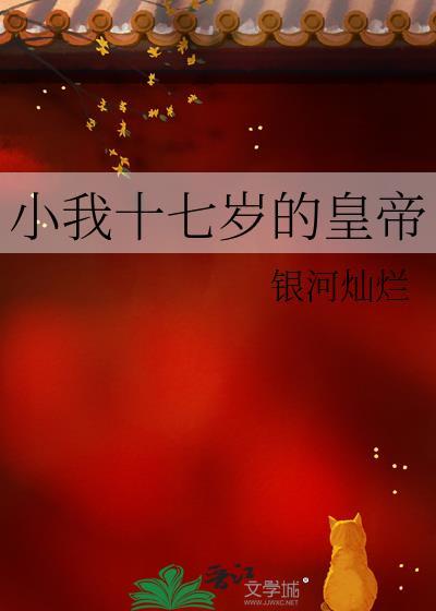 小我17岁