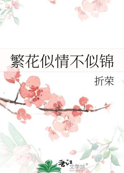 繁花不似锦什么意思