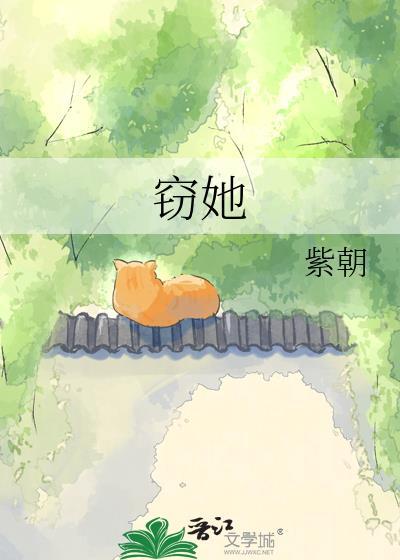 窃她大结局免费观看电视剧