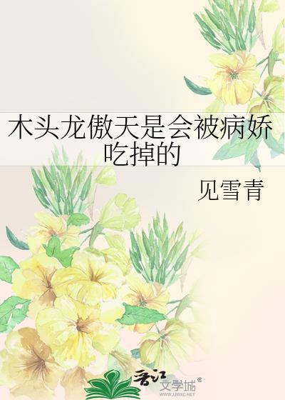 木头龙旧改是什么时候开始的