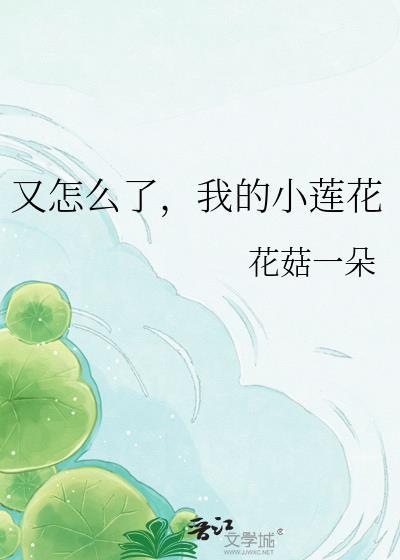 又怎么了我的小莲花全文免费阅读最新章节