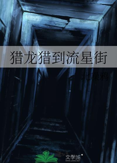 猎龙猎到流星街免费