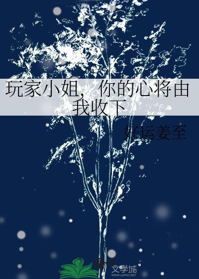 玩家小姐的游戏
