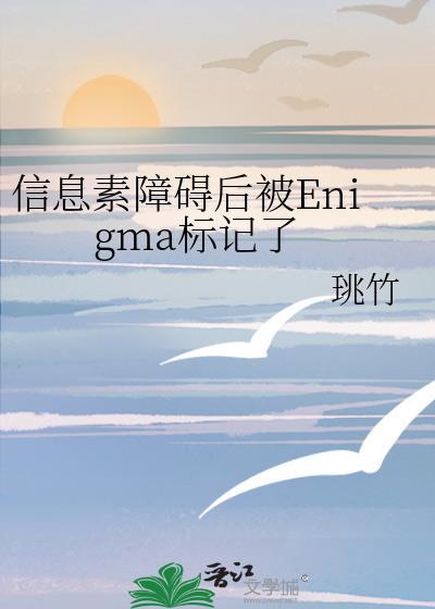 信息素障碍后被Enigma标记了讲的什么