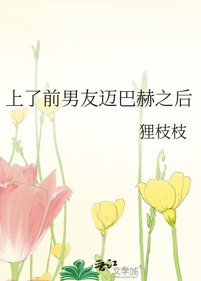 上前男友迈巴赫后续章节更新
