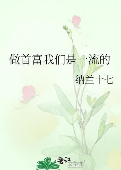做首富我们是一流的无防盗