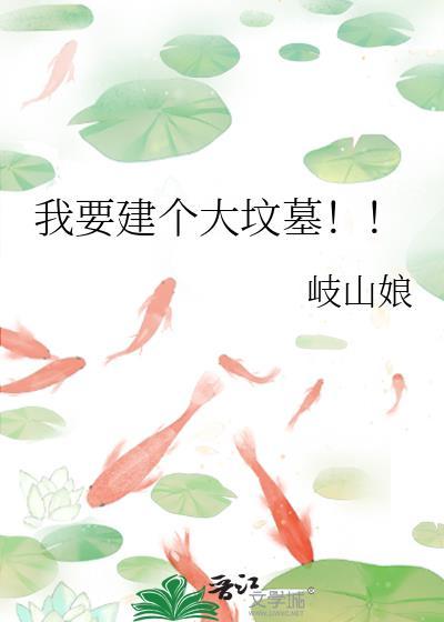 我要建大坟墓txt