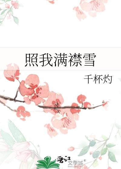 照我满襟雪by千杯灼百度