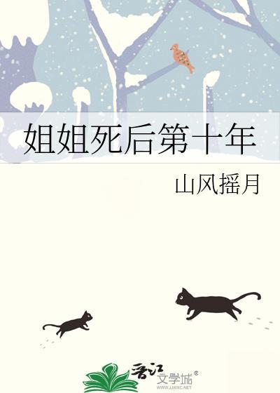 姐姐死后第十年TXT山