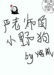 严老师的小野狗晋江