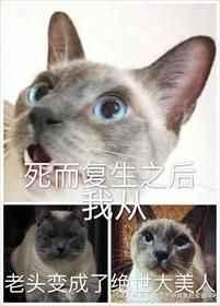 死而复生之后我从老头变成了绝世大美人黑猫白袜子
