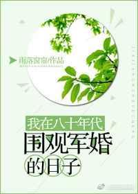 我在八十年代围观军婚的日子雨落窗帘