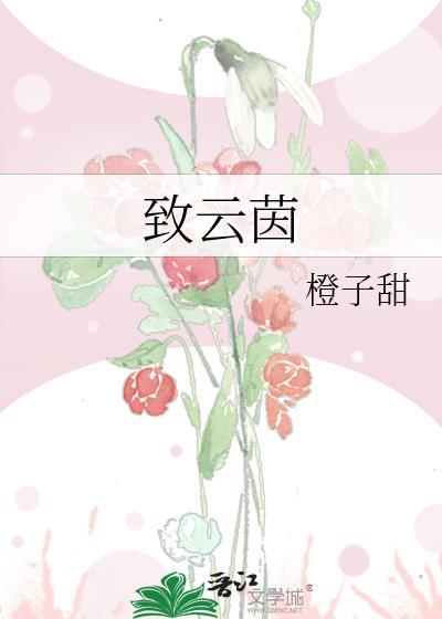 致云茵免费阅读