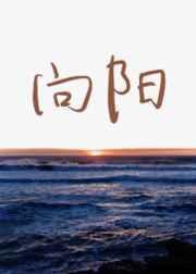 向阳花 电影