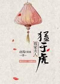 我家夫人超凶的免费阅读