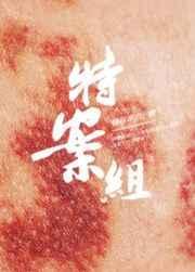 特殊案件调查组