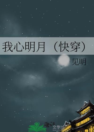 我心明月txt全集观看